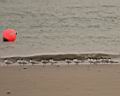 5_TG2837w.jpg