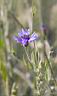5_TG9308w2.jpg