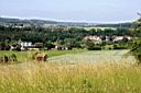 IMG_6989_4w.jpg
