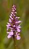 5_TG0171w.jpg