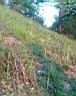 20160507_201819w.jpg